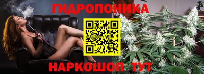 гашиш Можга