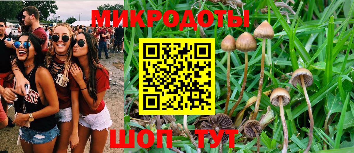 Галлюциногенные грибы MAGIC MUSHROOMS  Вход с VPN  Ухта 